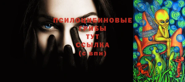 spice Бронницы