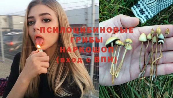 а пвп мука Бугульма