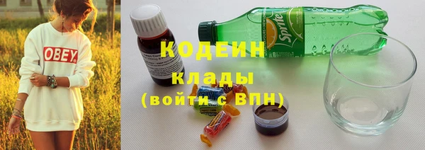 соль ск Бородино