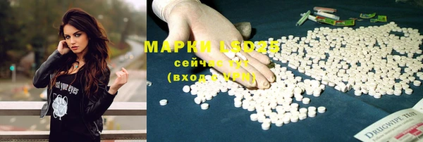 spice Бронницы