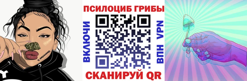 Псилоцибиновые грибы Psilocybine cubensis  Каменка 